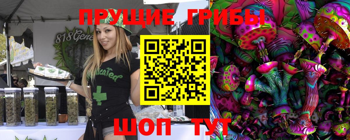 Алушта  Псилоцибиновые грибы Cubensis  Вход с VPN 